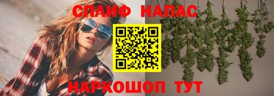 дурь Сланцы