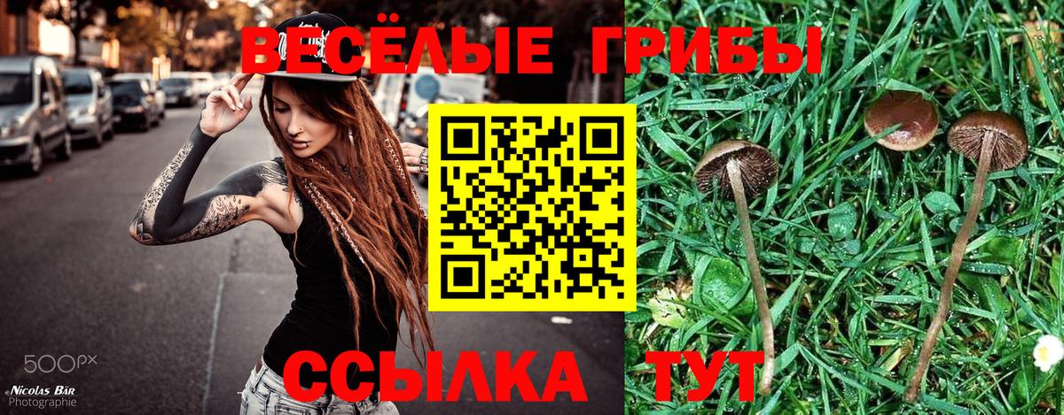 Галлюциногенные грибы GOLDEN TEACHER Благодарный
